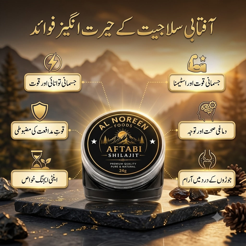 Aftabi shilajit 24g